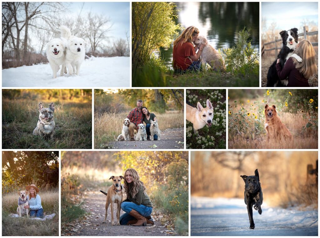 South Platte Park through every season