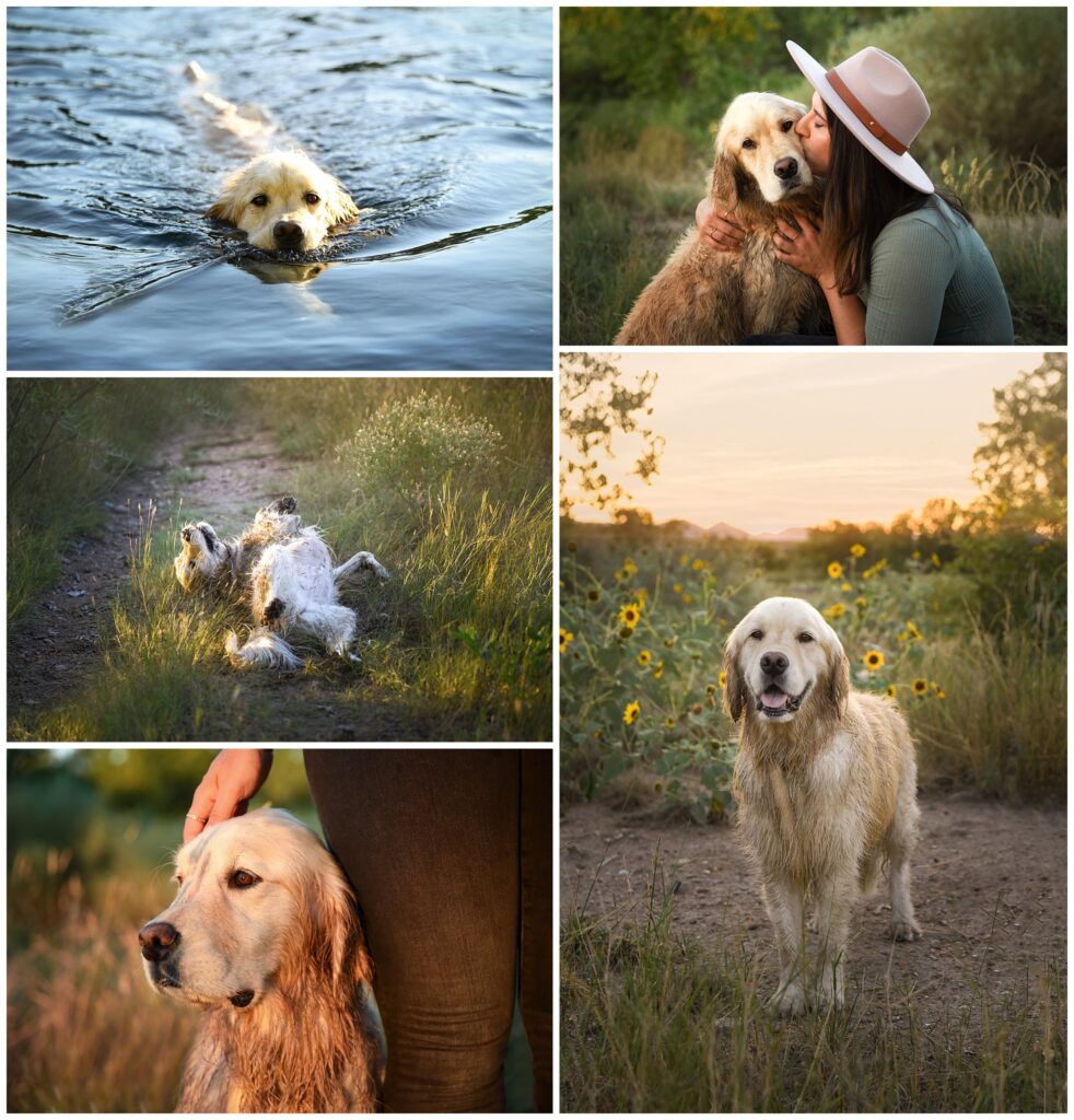 Woman and Golden Retriever at Pet Photography Session