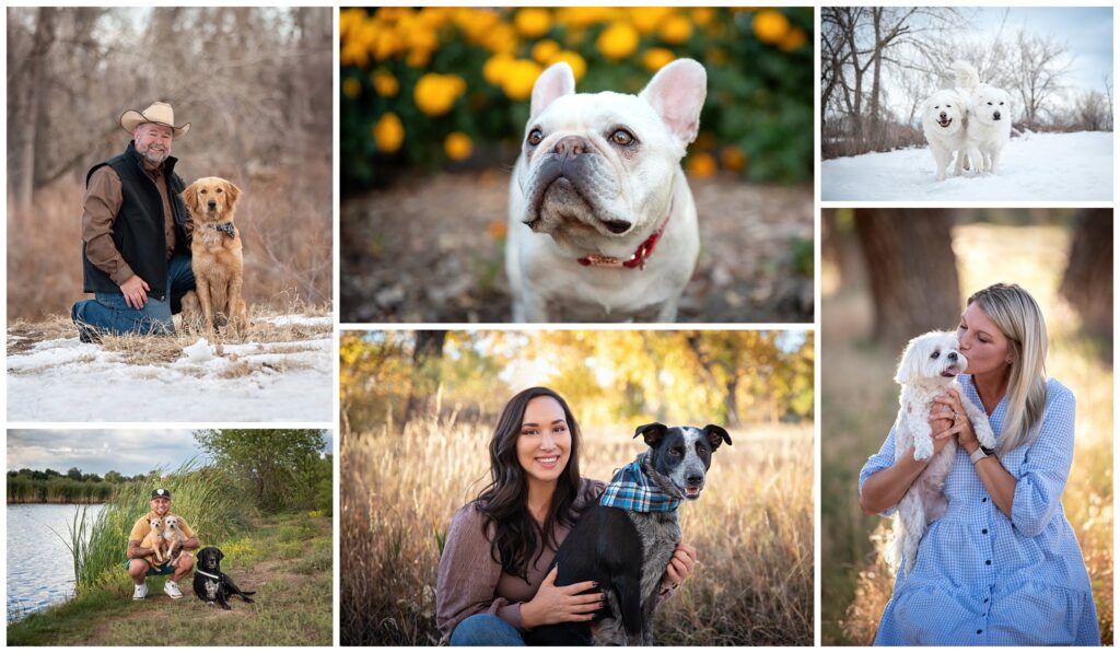 Outdoor Dog Photography Sessions